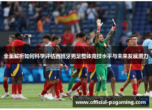 全面解析如何科学评估西班牙男足整体竞技水平与未来发展潜力 全面解析如何科学评估西班牙男足整体竞技水平与未来发展潜力