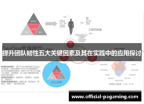 提升团队韧性五大关键因素及其在实践中的应用探讨