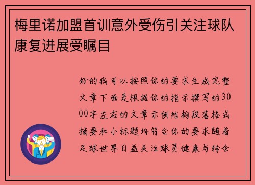 梅里诺加盟首训意外受伤引关注球队康复进展受瞩目